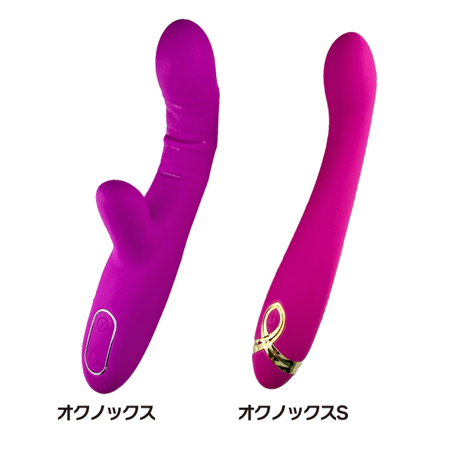 オクノックスSスタイリッシュな外観